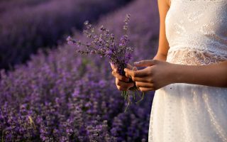 Lavanda: proprietà, utilizzo e benefici