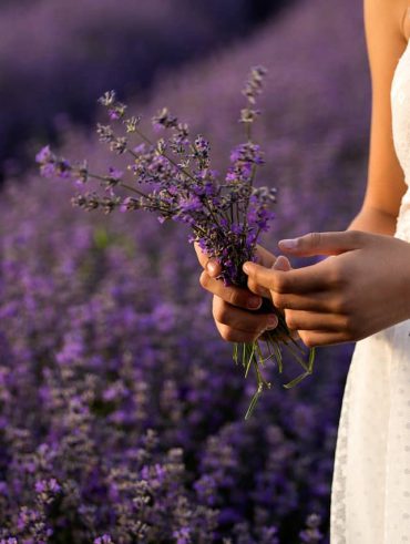 Lavanda: proprietà, utilizzo e benefici