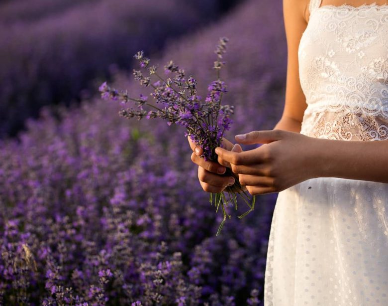 Lavanda: proprietà, utilizzo e benefici