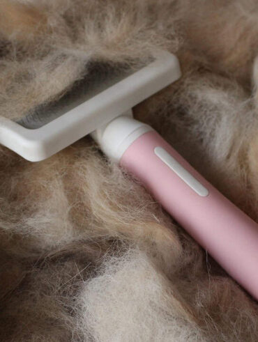 Cura del pelo del cane: consigli per un mantello sano e lucente