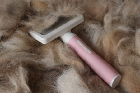 Cura del pelo del cane: consigli per un mantello sano e lucente