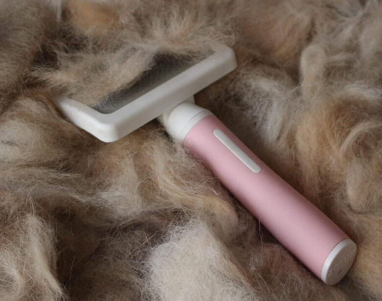 Cura del pelo del cane: consigli per un mantello sano e lucente