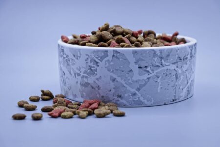 Come migliorare l’alimentazione di cane e gatto