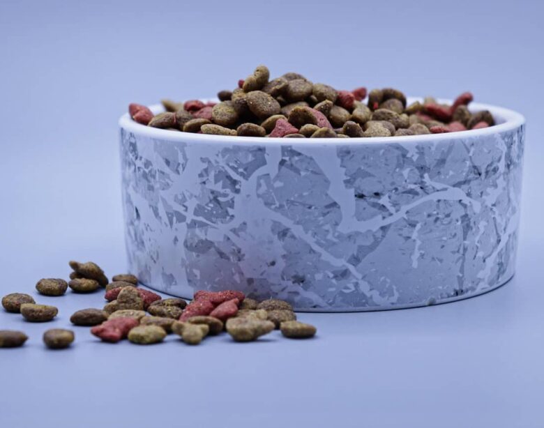 Come migliorare l’alimentazione di cane e gatto